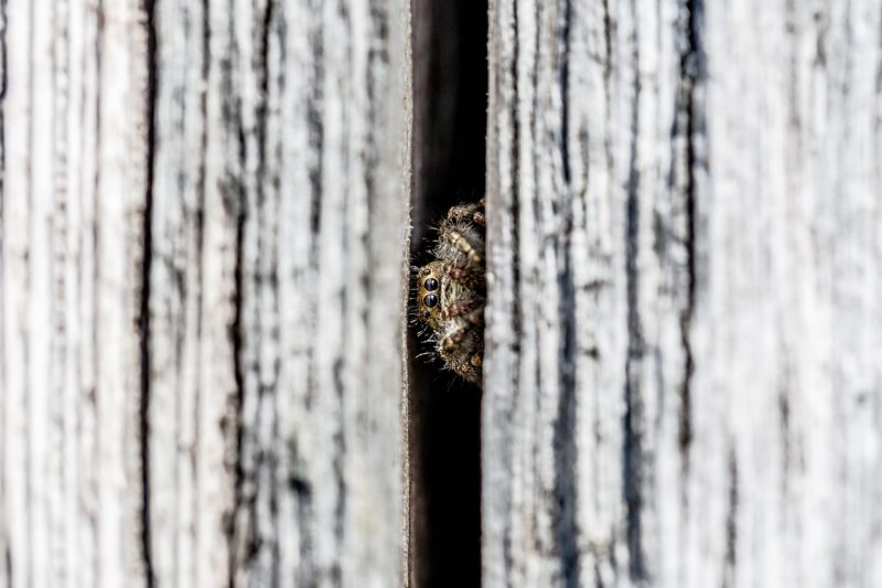 Homepage-Paul-Nederhoed-Finding-Photography-27