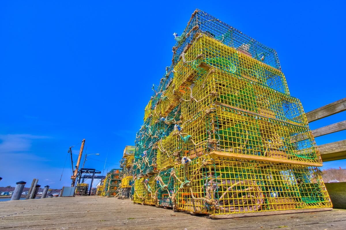 Stacks of yellow and green wire lobster traps with coiled rope sit on a weathered wooden pier under a bright blue sky.